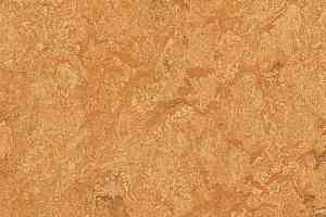 Линолеум Forbo Marmoleum Decibel on Order 317435 Sahara фото  | FLOORDEALER